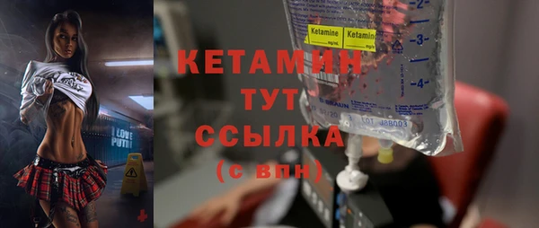 шишки Осинники