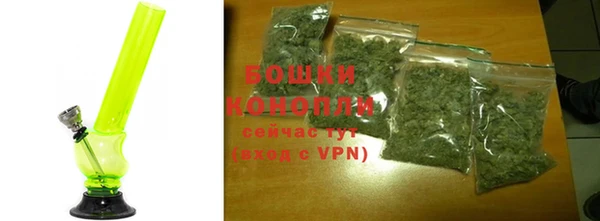 шишки Осинники