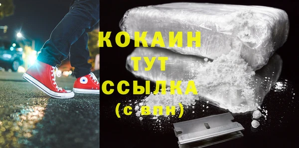 шишки Осинники