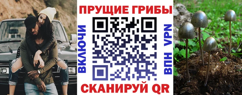 как найти закладки  Старая Купавна  kraken tor  Галлюциногенные грибы GOLDEN TEACHER 
