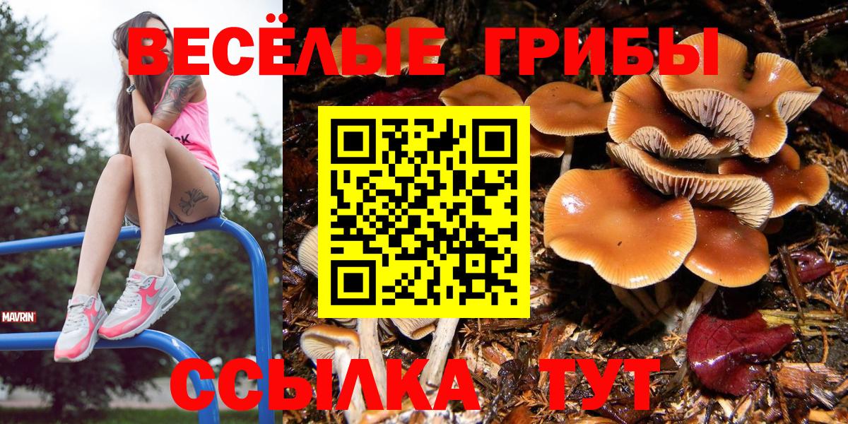 Галлюциногенные грибы MAGIC MUSHROOMS  Вход с VPN  где можно купить   Старая Купавна 