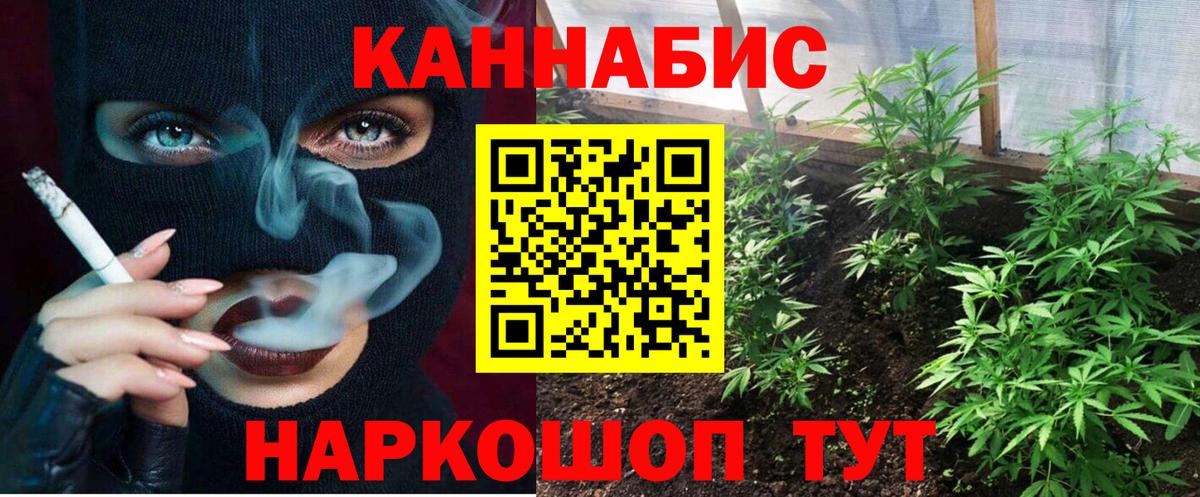 Каннабис гибрид Старая Купавна